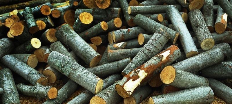 Купити дрова з доставкою по Луцьку та району