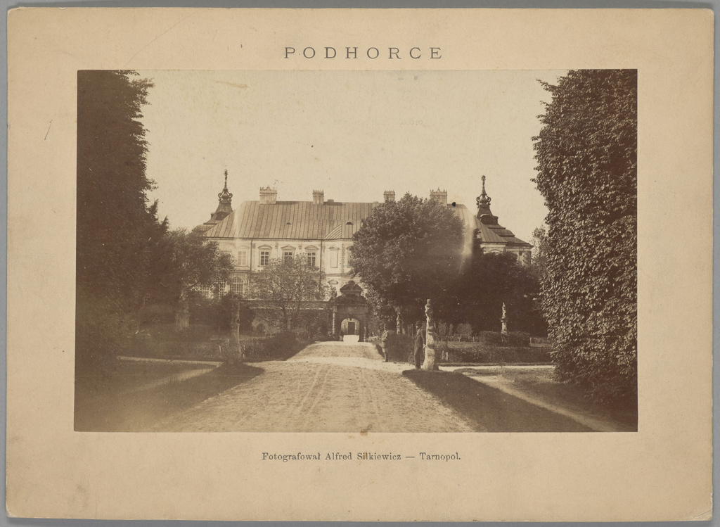 В’їзд до Підгорецького палаці, 1880-ті роки.