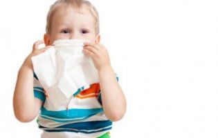 Літня алергія: актуальні питання