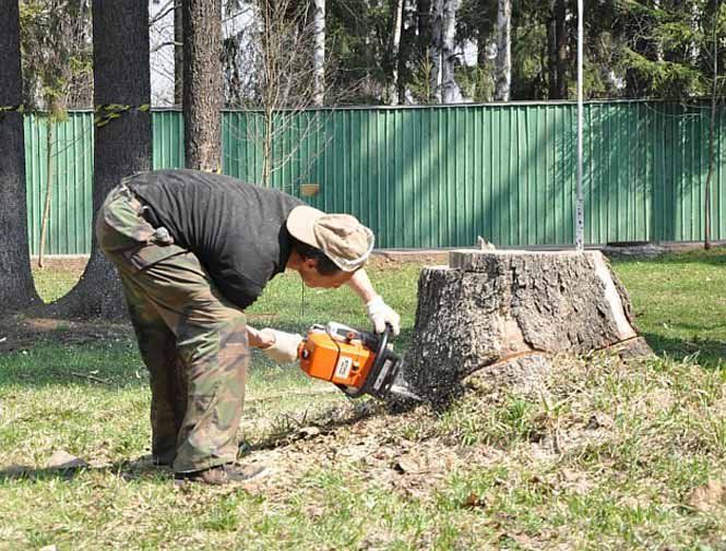 Прибираємо дерева з території будівництва