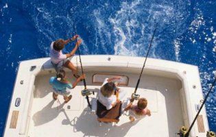 Манка для приманки