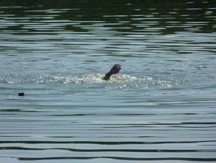 На Рівненщині втопилося два молодих хлопця