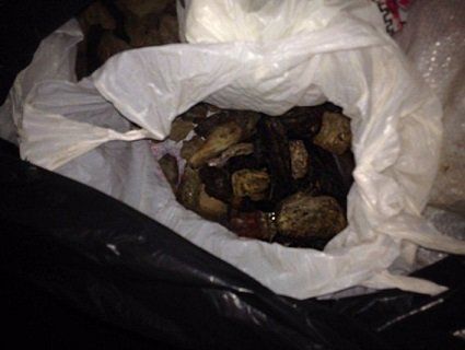 Жителя Ковеля зловили з партією бурштину в Рівненській області