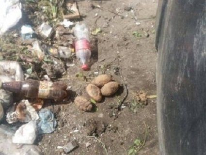 У львівському смітті знайшли 5 гранат