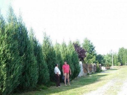 На Світязі п'яний мажор чіплявся до 12-річної дівчинки