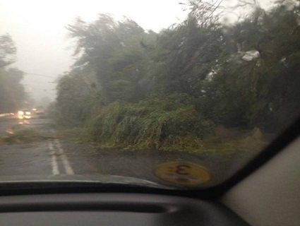 На Луцьк обрушилася буря