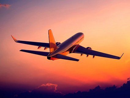 Названі самі дивні речі, які люди хотіли пронести в літак