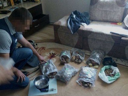 На Волині вилучили бурштину на 1 млн грн