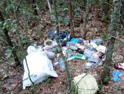 Волинський ліс перетворили на справжній смітник