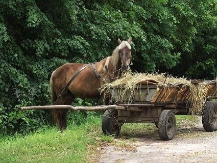 На Рівненщині чоловік напився і вирішив, що він грабіжник
