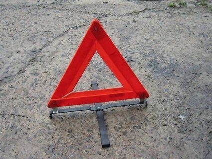 На Волині мікроавтобус з 8 пасажирами вилетів в кювет