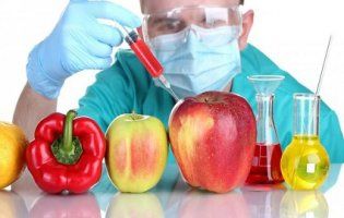 Переваги та недоліки ГМО