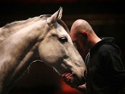 Кінь – кращий товариш та лікар людини