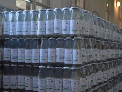 Волинський березовий сік п'ють в США та Панамі