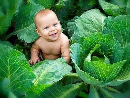 Волинянка самотужки народила дитину в капусті