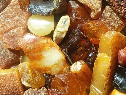 СБУ вилучила у контрабандистів бурштину більш ніж на мільйон гривень