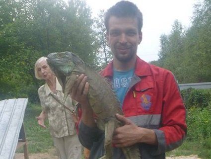 На Київщині ігуану переплутали з динозавром