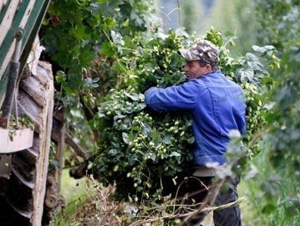 Для українських заробітчан – нові вимоги працевлаштування