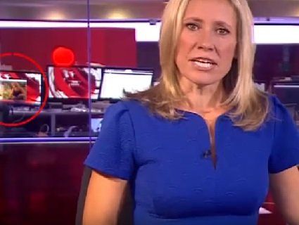 BBC під час випуску новин показали «полуничку»