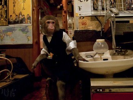 В Японії замість офіціанток - мавпочки