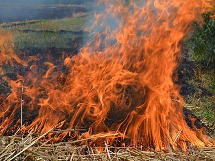 Звернення до громадян  з приводу недопущення спалювання пожнивних залишків