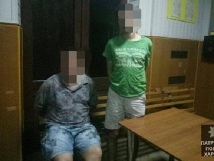 На Харківщині п'яний водій і пасажир побили поліцейських