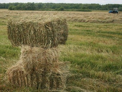 Дитина отримала смертельні опіки через гру з сірниками біля соломи