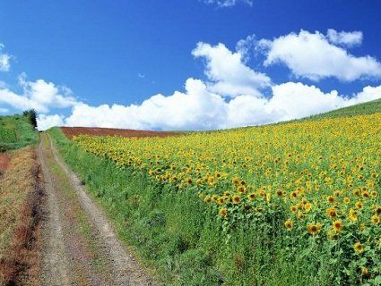 Цікавинки про 23 серпня