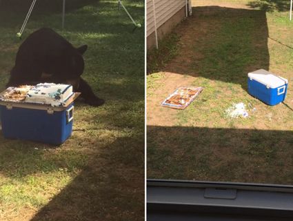 Мешканка США провела день народження разом з ведмедем