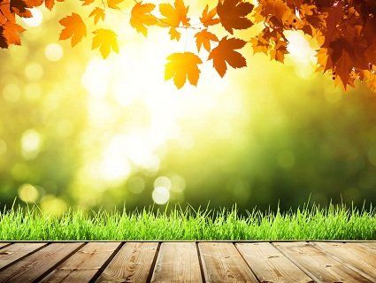 В Україну повертається літо