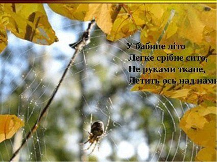 Погода на 12 вересня : 