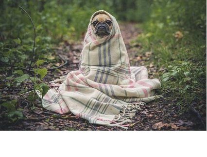 Прогноз погоди на 13 вересня: очікуємо похолодання.