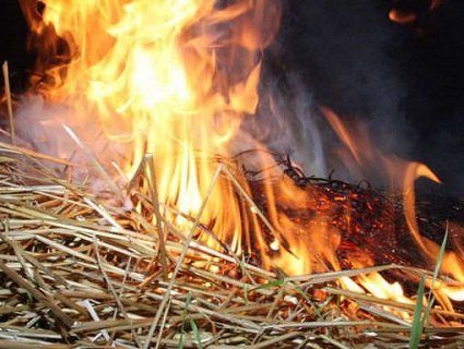 На Волині дитина гралася з сірниками і спалила сіно