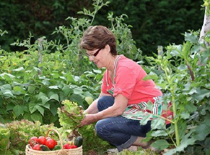 Здоров’я можна знайти у власному саду та городі