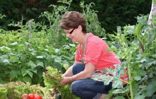 Здоров’я можна знайти у власному саду та городі