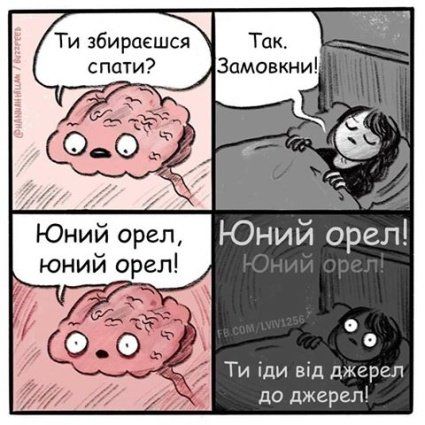 Анекдоти дня