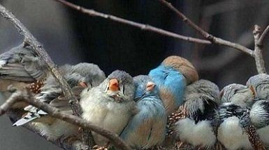 Погода 23 вересня : в Україну йде стрімке похолодання.