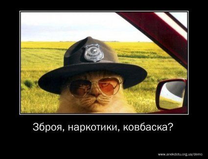 Анекдоти дня