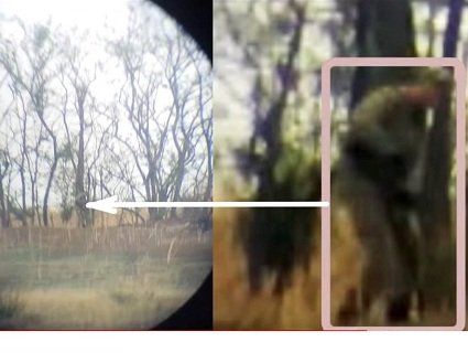 Бойовики Донбасу ходять в українській військовій формі