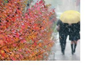 5 жовтня погода в Україні: хмарно з невеликими опадами.