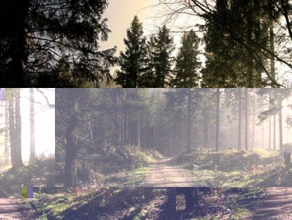 На Рівненщині знайшли труп чоловіка