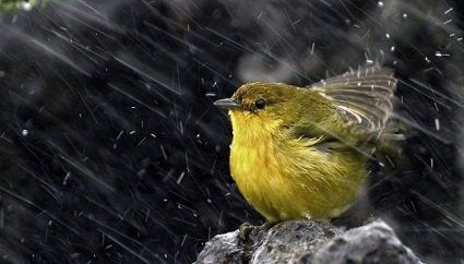 6 жовтня погода : досить вітряно, подекуди дощитиме.