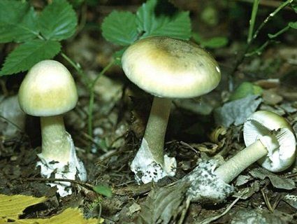 У Київській лікарні померла 10-річна дитина