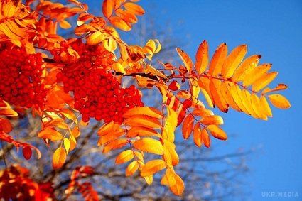 18 жовтня погода:сонце та тепло охоплять всю Україну