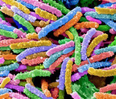 10 млн людей можуть загинути від супербактерій