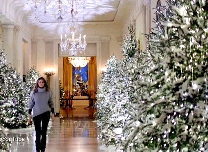Білий дім поринув у різдвяну казку та 160 кілограмів імбирного печива (відео)