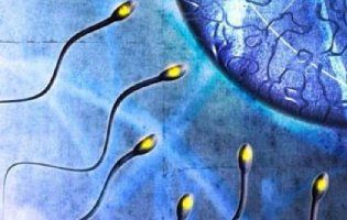 Ібупрофен може вбивати сперматозоїди