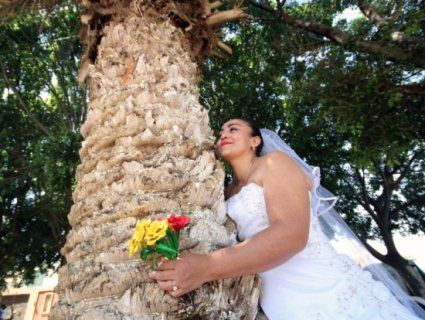 Жінки з Мексики вийшли заміж за дерева