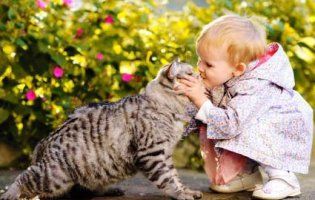 Які тварини рятують людей від стресу і хвороб?