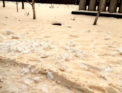 На Одещині випав жовтий сніг (фото)